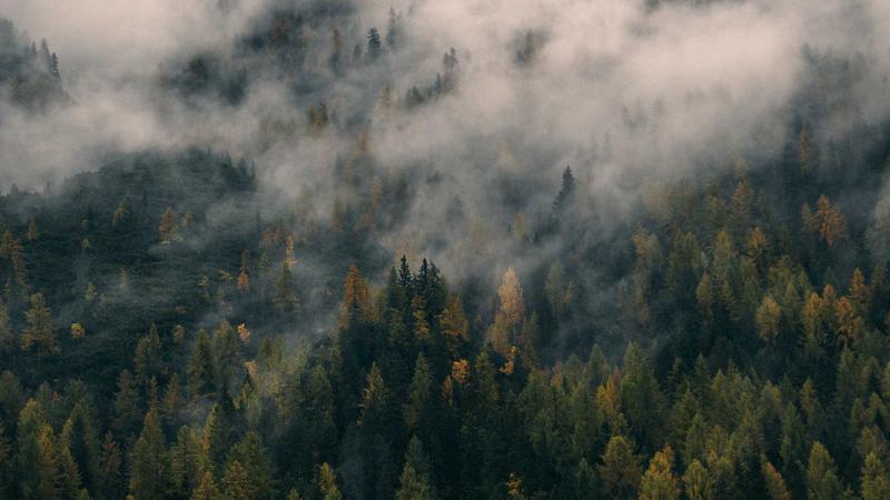 运动数据革新体验
